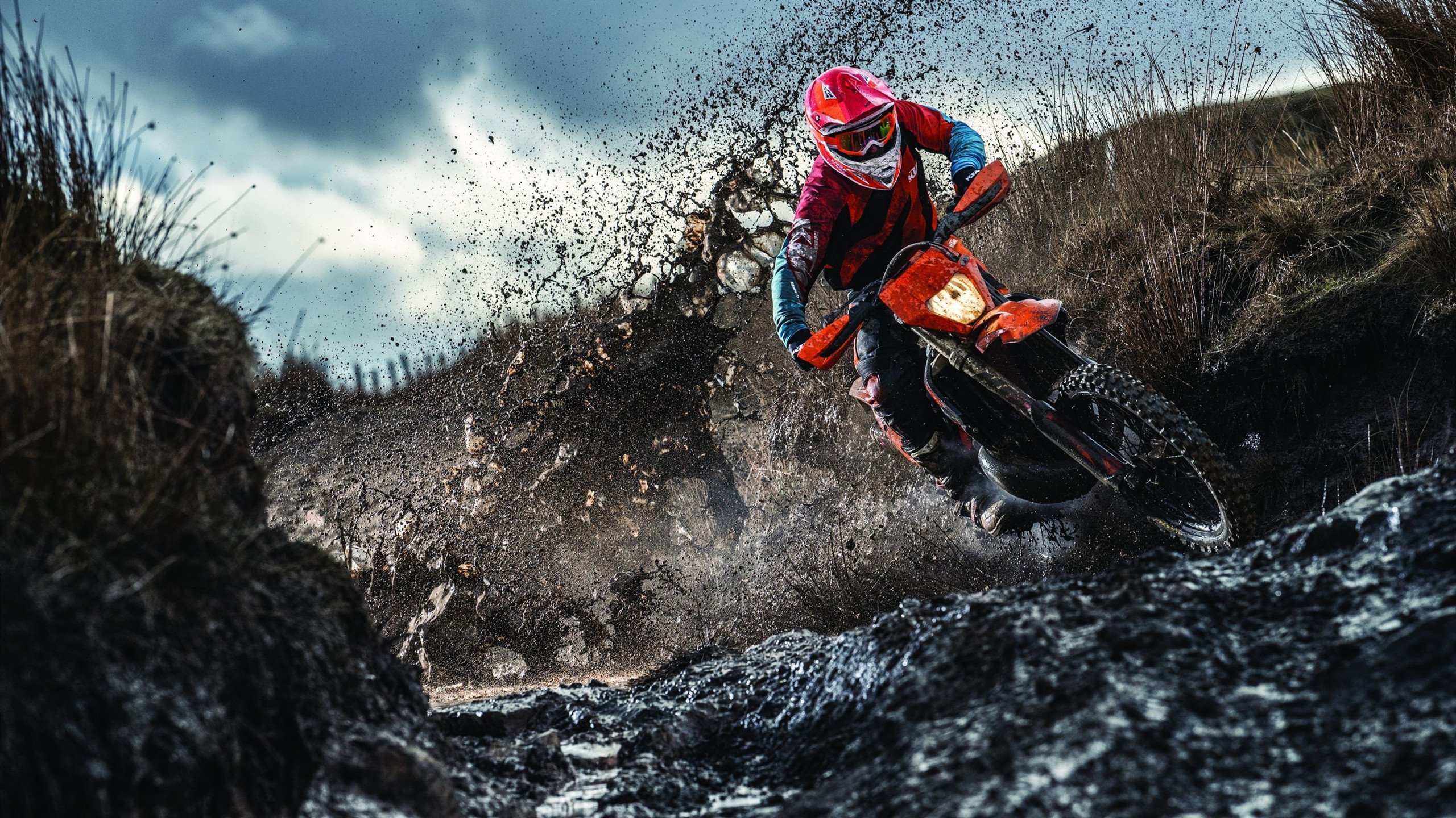 西班牙马术协会与国际马术组织合作，举办国际马术交流活动，促进技术交流。